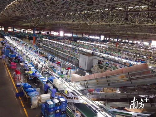 出口破50億元,稅收優惠助東鳳小家電行業起航