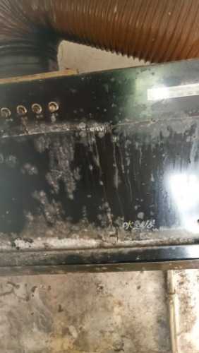 廚房家電清洗指南 為健康加分，讓生活更安心